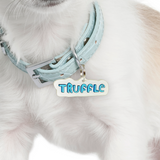 Blue 3D Handwriting Font - 2x Tags Dog Name Tags by Bashtags