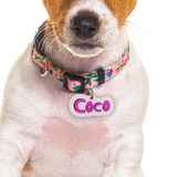 Pink 3D Handwriting Font - 2x Tags Dog Name Tags by Bashtags