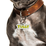 Yellow 3D Handwriting Font - 2x Tags Dog Name Tags by Bashtags