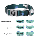 Puppy Gallery Amber Bashtag (Light Green) - 2x Tags Dog Name Tags by Bashtags