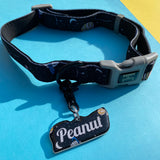 Puppy Gallery Astro (for medium-large dogs) Collar/Leash Dog Name Tags by Bashtags
