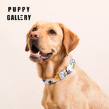 Puppy Gallery Blooming Collar and Bashtag set