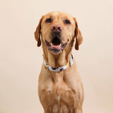 Puppy Gallery Blooming Collar and Bashtag set