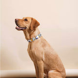 Puppy Gallery Blooming Collar and Bashtag set
