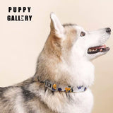 Puppy Gallery Blooming Collar and Bashtag set