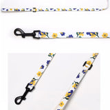 Puppy Gallery Blooming Collar, Leash and Bashtag set