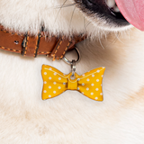 Big Polka Carrot Orange - 2x Tags Dog Name Tags by Bashtags