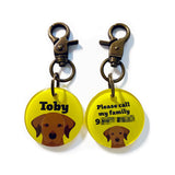 Labrador Retriever (Chocolate) Dog Name Tags by Bashtags