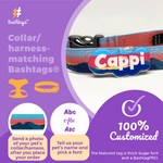 Custom Pet ID Tag Matching with Collar or Harness Dog Name Tags by Bashtags