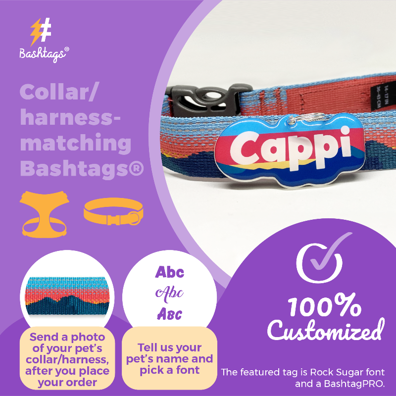 Custom Pet ID Tag Matching with Collar or Harness Dog Name Tags by Bashtags