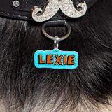 Lake Blue + Orange Superhero Comics - 2x Tags Dog Name Tags by Bashtags