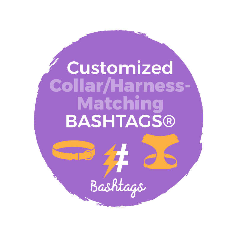 Custom Pet ID Tag Matching with Collar or Harness Dog Name Tags by Bashtags
