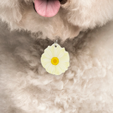 Almond Daisy - 2x Tags Dog Name Tags by Bashtags
