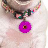 Royal Fuchsia Daisy - 2x Tags Dog Name Tags by Bashtags