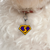 Orange Superhero Emblem - 2x Tags Dog Name Tags by Bashtags