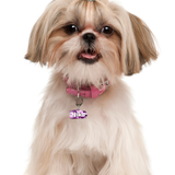 Camo Flamingo Blush Rock-Sugar Font - 2x Tags Dog Name Tags by Bashtags