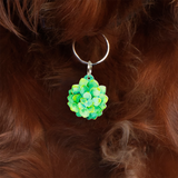 Glazed Porcelain Succulent Dog Name Tags by Bashtags