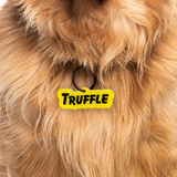 Golden Yellow Goofy Font - 2x Tags Dog Name Tags by Bashtags