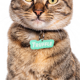 Mint Goofy Font - 2x Tags Dog Name Tags by Bashtags