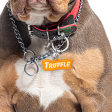 Orange Goofy Font Dog Name Tags by Bashtags