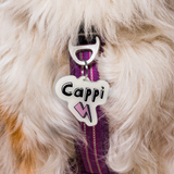 White + Baby Pink Lightning Bolt - 2x Tags Dog Name Tags by Bashtags