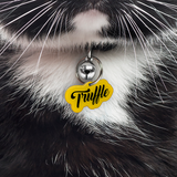 Golden Yellow Love-Script Font (Black Lettering) - 2x Tags Dog Name Tags by Bashtags