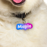Bubble Gum - 2x Tags Dog Name Tags by Bashtags