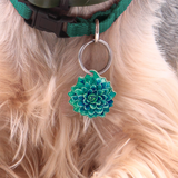 Mexican Rose Succulent - 2x Tags Dog Name Tags by Bashtags