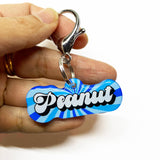 Ocean Float Retro-Script Font Pet ID Tag
