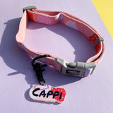 Puppy Gallery Peach Collar and Bashtag set
