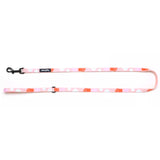 Puppy Gallery Peach Collar, Leash and Bashtag set