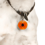 Orange Poppy Dog Name Tags by Bashtags