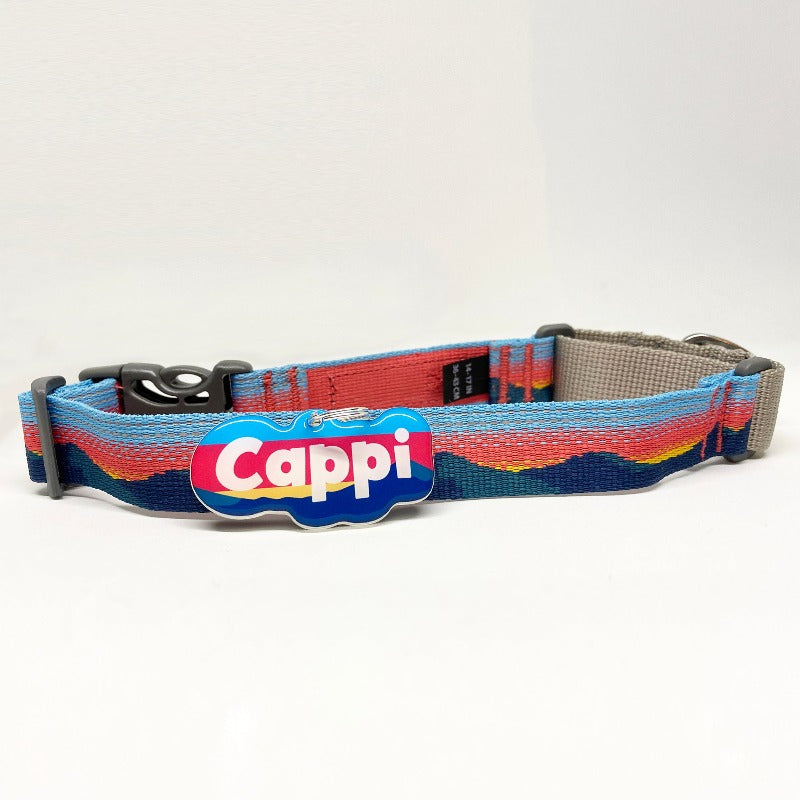 Custom Pet ID Tag Matching with Collar or Harness Dog Name Tags by Bashtags