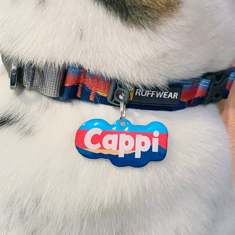 Custom Pet ID Tag Matching with Collar or Harness Dog Name Tags by Bashtags