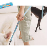 Puppy Gallery Poolside Collar and Bashtag set