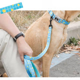 Puppy Gallery Tennis Collar and Bashtag set