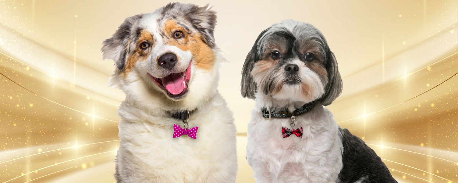 Unique Pet ID Tags | Bashtags™