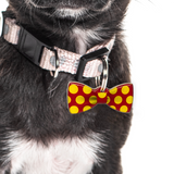 Ketchup & Mustard Polka - 2x Tags Dog Name Tags by Bashtags