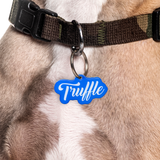 Electric Blue Love-Script Font - 2x Tags Dog Name Tags by Bashtags