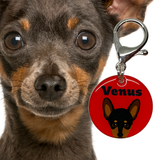 Miniature Pinscher - 2x Tags Dog Name Tags by Bashtags