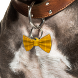 Red & Yellow Plaid - 2x Tags Dog Name Tags by Bashtags
