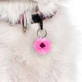 Pink Poppy - 2x Tags Dog Name Tags by Bashtags