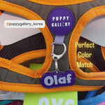 Custom Pet ID Tag Matching with Collar or Harness, Unique Pet Name Tags, Personalized with Name and Contact Info