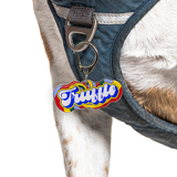 Ramune Float Retro-Script Font Dog Name Tag by Bashtags