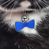 Blue Wavy Stripes - 2x Tags Dog Name Tags by Bashtags