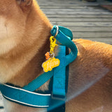 Metal colored trigger clips Dog Name Tags by Bashtags