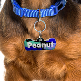 Camo Blue Pine Rock-Sugar Font - 2x Tags Dog Name Tags by Bashtags