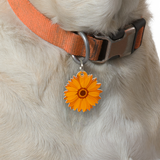 Carrot Orange Daisy - 2x Tags Dog Name Tags by Bashtags