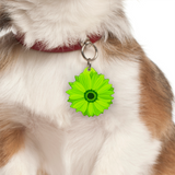 Maximum Green Daisy - 2x Tags Dog Name Tags by Bashtags