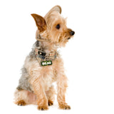 Camo Fern Oasis Rock-Sugar Font - 2x Tags Dog Name Tags by Bashtags